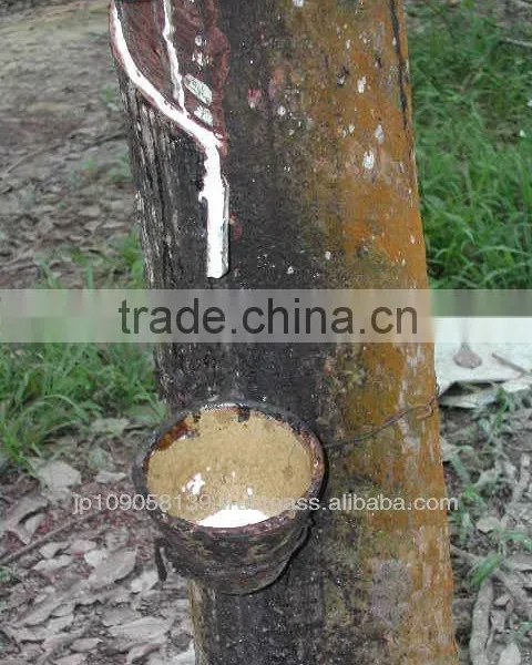 Natural Rubber Latex 60% Drc Low Ammonia