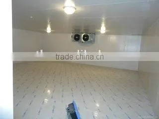 PU Sandwich Panel Fruits/vegetables Cold Room Storage photo-4