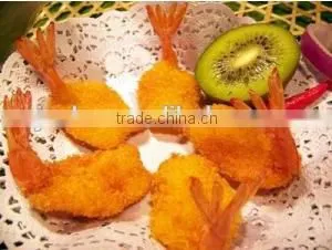 Panko Bread Crumbs Production Line photo-5
