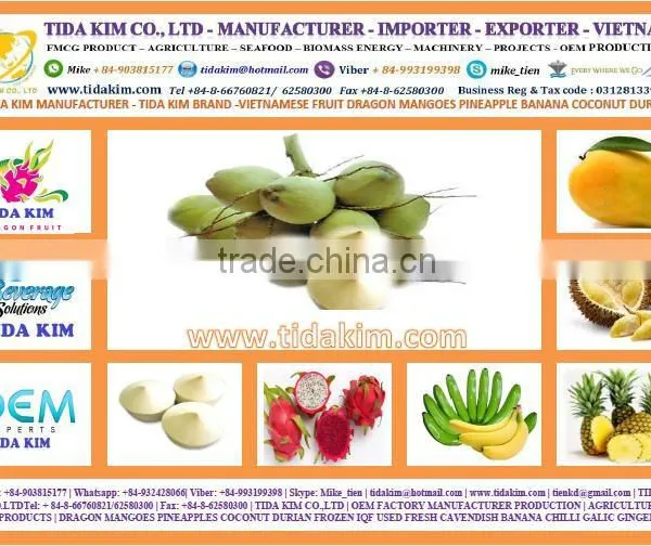 FRESH YOUNG COCONUT - FRESH CAVENDISH BANANA PINEAPPLES FROZEN- RED WHITE -ORGANIC-MANGOES FRUIT FMCG TIDA KIM COFFEE