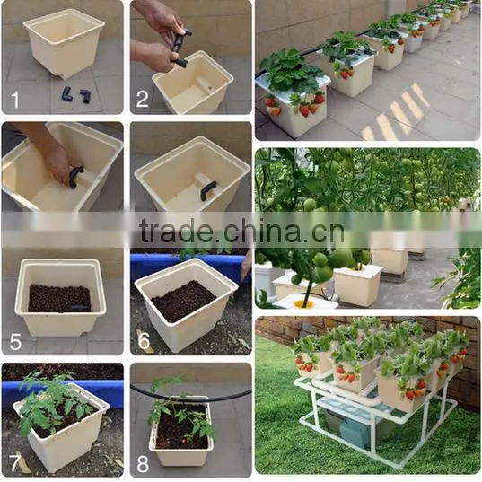 Dutch Buckets for Growing Tomatoes Hydroponic System photo-6
