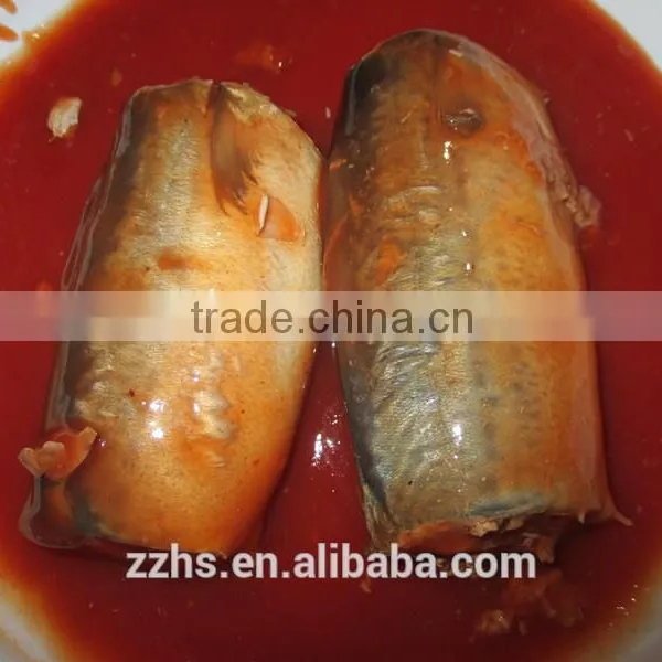 Canned Mackerel in Tomato Sauce photo-4