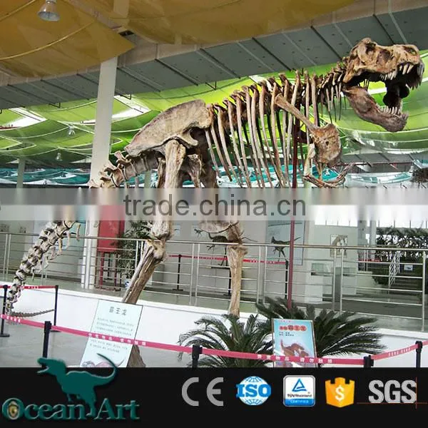 OAV2432 Dig Dinosaur Fossil Replica Real Dinosaur Fossils