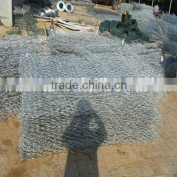 Hexagonal Wire Mesh for Chicken Cage photo-5
