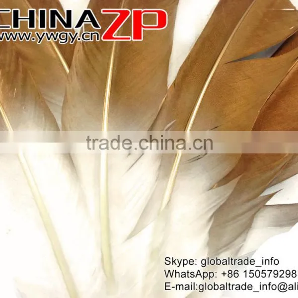 Gold Leading Supplier CHINAZP Wholesale Plume Dyed Bulk Gold Metallic Bicolourable Turkey Feathers photo-4