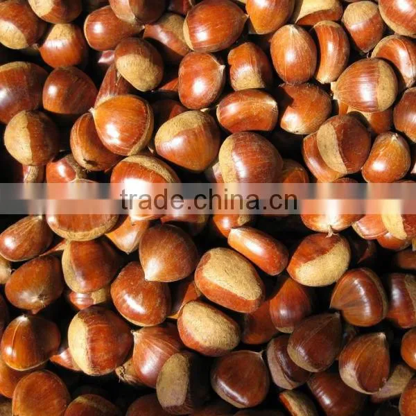 2015 New Crop Chestnuts Food Price