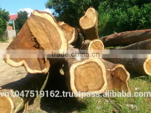 Acacia Wood Logs