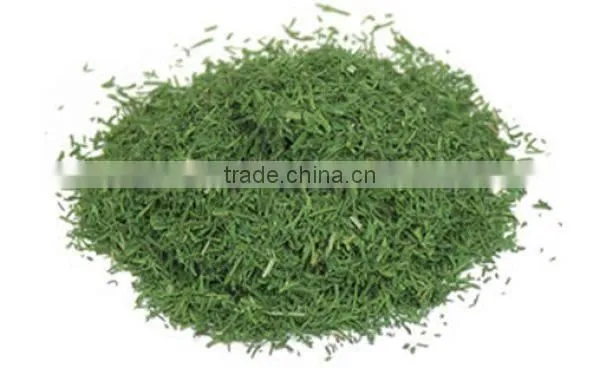 Dried Dill Leaves
