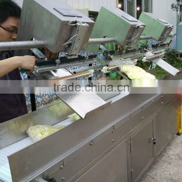 Eletric Large Capacity Streamlined Vacuum Packing Machine photo-2