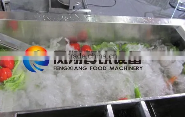 WA-1000 Automatic Washer Type and New Condition Vegetable Seafood Fruits Bubble Processing Cleaning Machine photo-3