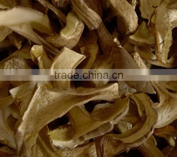 Reliable Supplier Boletus Edulis photo-5