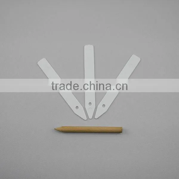 4 Inch Gardening Pencil With Plastic White Plant Label photo-2