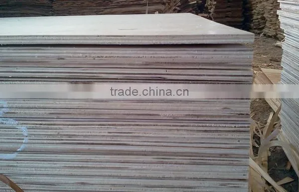 Furniture Grade Laminated 18mm Eucalyptus Plywood photo-4