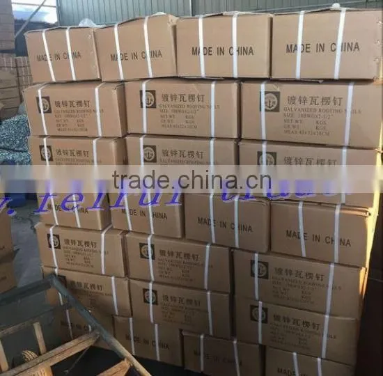 2017 ROOFING NAIL 10BWGX2.5'' AGENT for Nigeria Market photo-2
