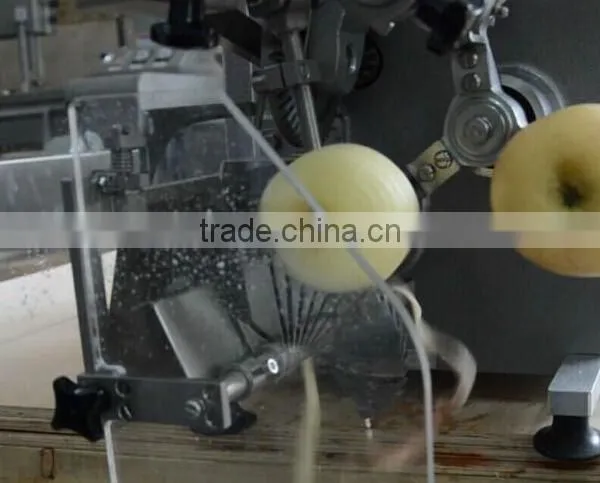 Apple Chips Production Line photo-2