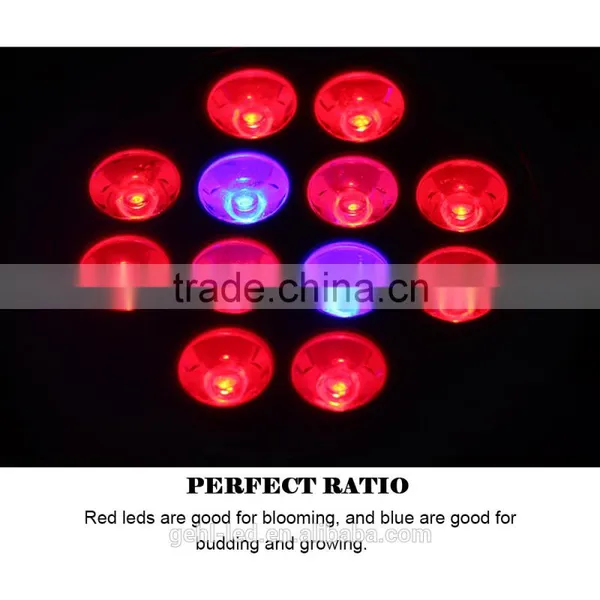 Low Price Aaa Quality High Power 3 Years Warranty 12w Led Grow Light From Shenzhen Factory photo-4