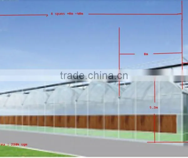Multi-span Greenhouse Industry photo-3