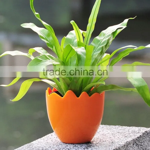 Garden Supplies Attractive Colorful Plastic Wholesale Flower Pots photo-4