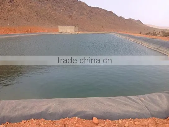 CE/ISO Certificate Geosynthetic Clay Liner With HDPE Geomembrane for Landfill Site photo-5