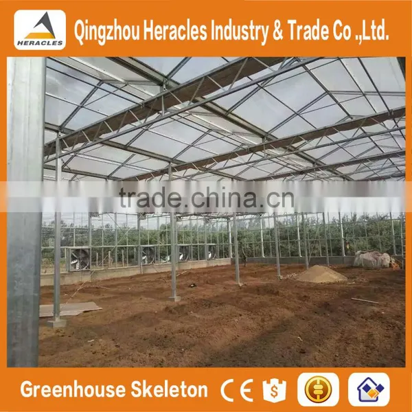 Factory Price Trade Assurance Polycarbonate Greenhouse - Plastic Sheet for Sale photo-4