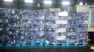 ABS FR Materials Front Accesee Terminal Batteries Container 12V 150AH photo-5