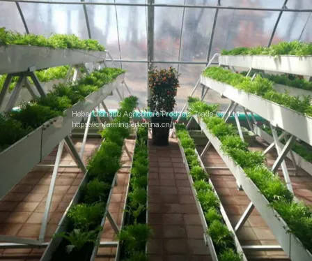 Breeding Cages photo-5