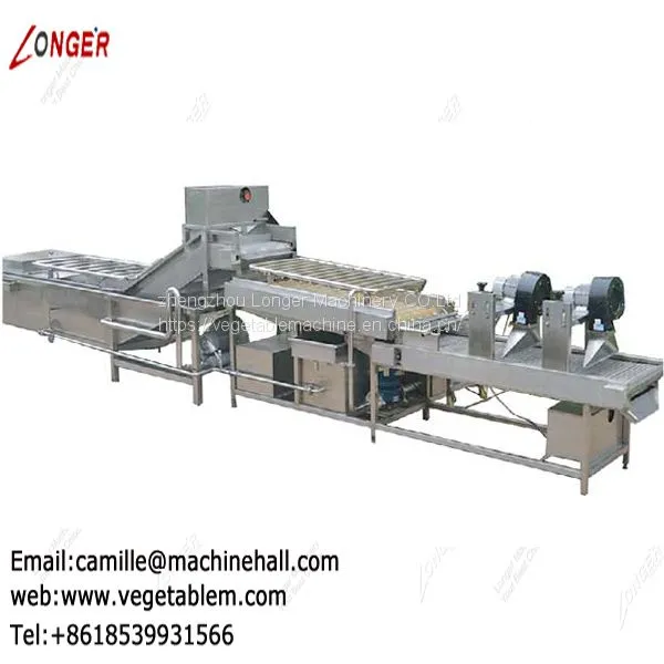 Industrial Vegetable Washer|Fruit Washer Machine Price|Dates Processing Plant Manufacturers|Dates Washing machinery