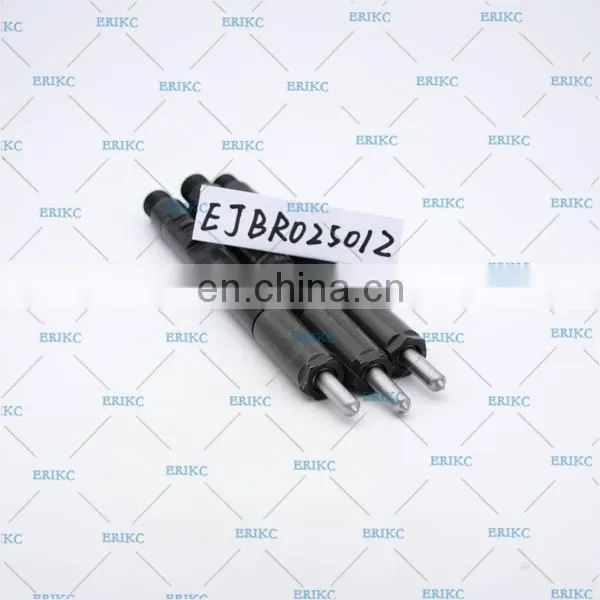 ERIKC EJBR02501Z Original Diesel 2501Z Common Rail Injector EJB R02501Z photo-4