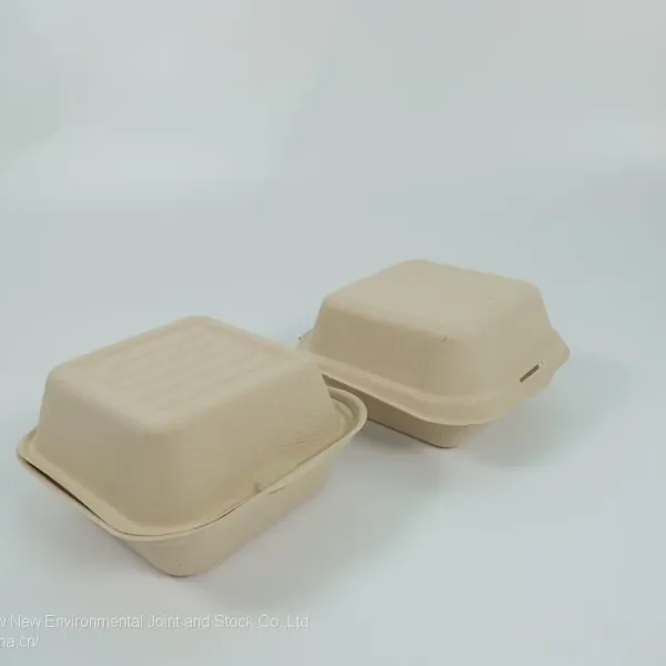 Disposable Lunch Box Salad Box Burger Box photo-4