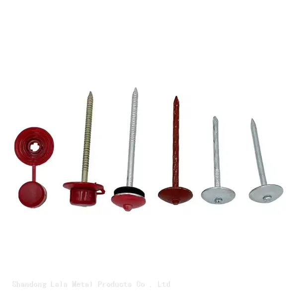 Corrugated Roofing Nail Roofing Coloured Nails Zinc Coated Roofing Nails photo-5