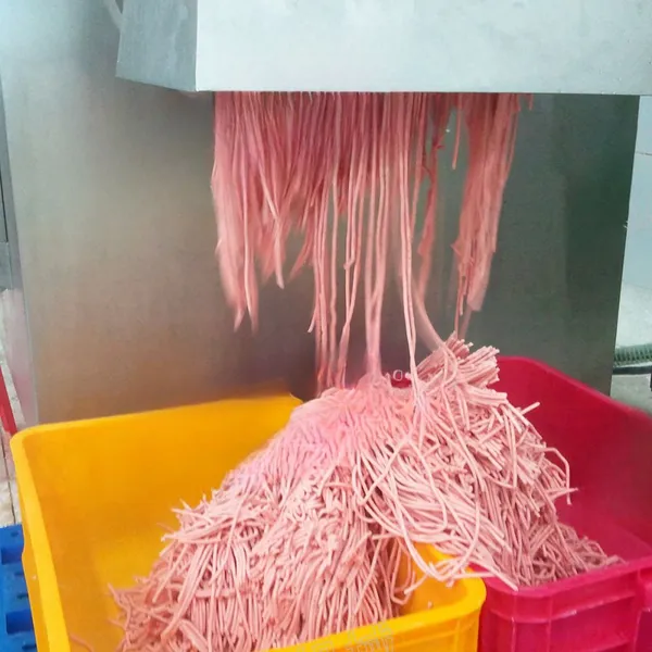 JR300 Frozen Meat Grinder photo-4