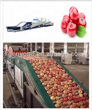 China Supply Vegetable Processing Machine Filter Equipment for Sale photo-5
