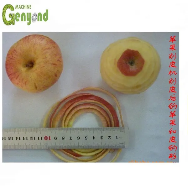 Core Components PLC Gear Pump Motor-Fruit and Vegetable Chips Making Machine photo-2