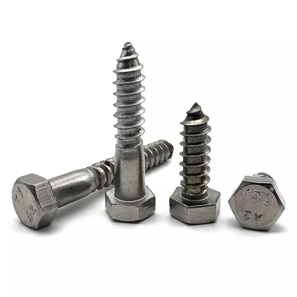 Custom Size Stainless Steel 304 DIN 571 Lag Bolts photo-5