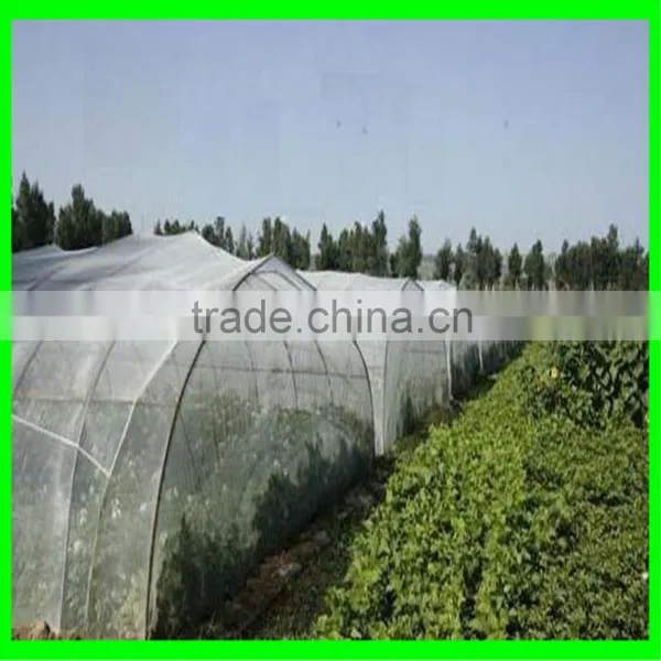 100% HDPE Anti Insect Netting photo-4