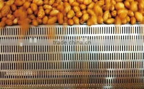 Oil Curtain Fry Machinary/fried Peanut Making Machine photo-4