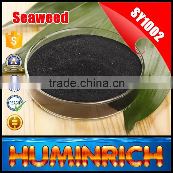 FAQ 27--Effect Of Seaweed Fertilizer On Red Bayberry photo-5