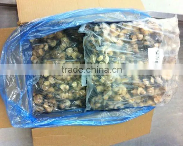 FROZEN TOP SHELL MEAT