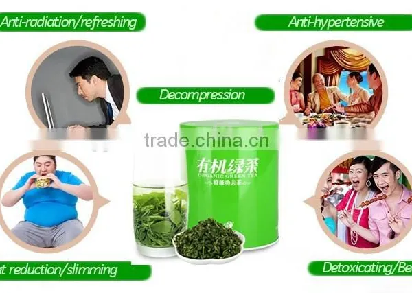 Best Organic Morning Green Tea Chinese Brand photo-5