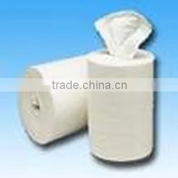 Spunlace Nonwoven Fabric photo-4