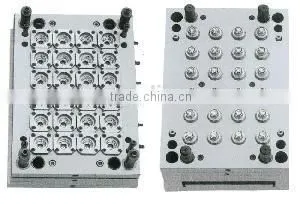 PET Preform Mould