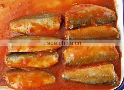 Wholesale Higher Quality Competitive Price Canned Mackerel photo-5