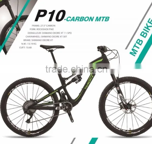 P10- CARBON MTB