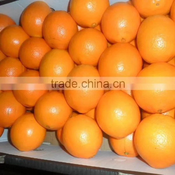 Fresh Valencia Orange photo-6