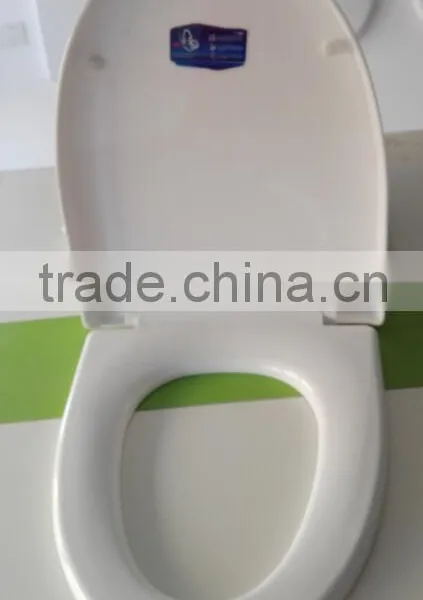 Selling India Style Decorative Acrylic Heavy Duty Toilet Seat Cover photo-5