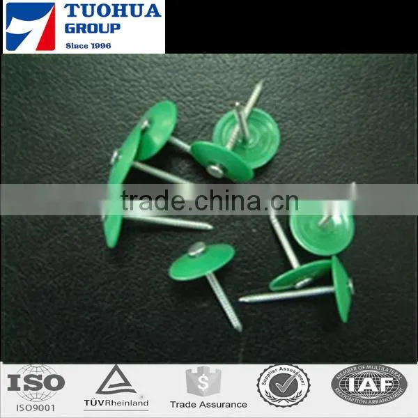High Quality Plastic Cap Nails for Building Use photo-2