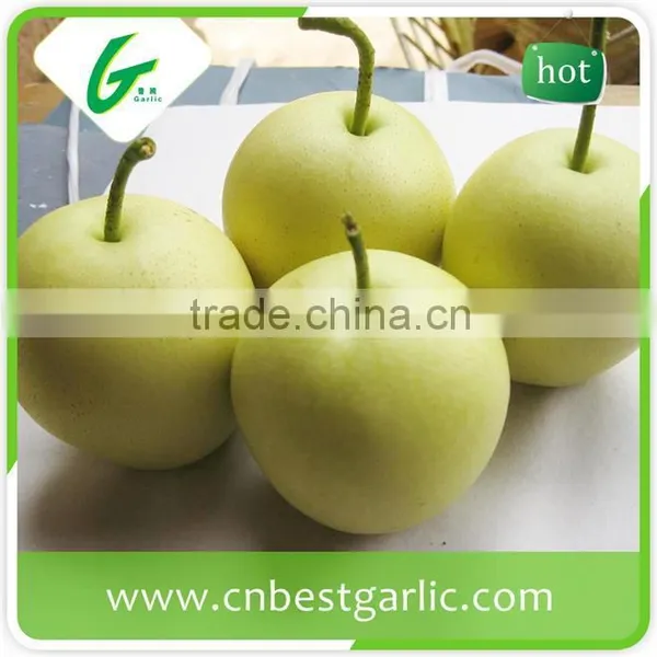 2016 New China Bulk Fresh Crown Pear photo-6