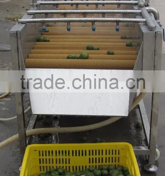 Full Automatic Indstrail Melon Washing and Drying Machine photo-3