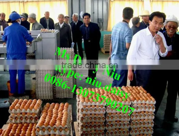 Automatic Egg Packing Machine/egg Tray Packaging Machine/egg Grading Machine for Packing photo-4