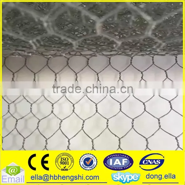 Galvanized Hexagonal wire netting/Hexagonal wire manufacturer